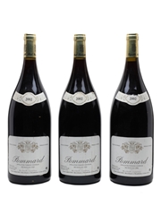 Pommard 2002 Paul Garaudet - Large Format 3 x 150cl / 13%