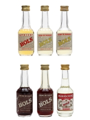 Assorted Bols Liqueurs Bottled 1970s & 1980s 6 x 3.5cl