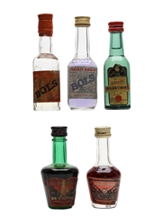 Bolskummel, Cherry Brandy, Curacao Triple Sec & Parfait Amour Bottled 1970s 5 x 3cl-5cl