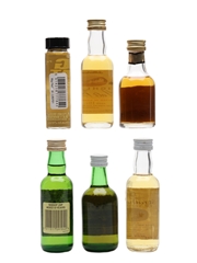 Assorted Blended Whisky  6 x 4cl-5.6cl