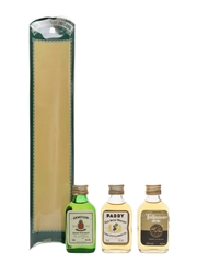 The Spirits Of Ireland Bottled 1980s - Paddy, Tullamore Dew & Jameson 3 x 5cl / 40%