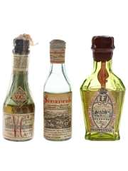 Assorted French Liqueurs Bottled 1940s-1950s 3 x 3cl