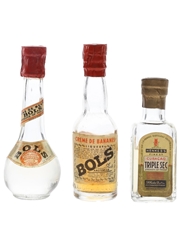 Bols & Henkes's Liqueurs Bottled 1940s-1950s 3 x 3cl