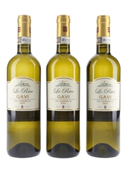 Gavi Le Rive 2014 Rovereto 3 x 75cl / 12%