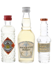 Anisette & Sambuca