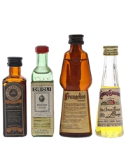 Assorted Italian Liqueurs