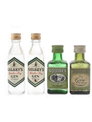 Gilbey's & Squires Dry Gin