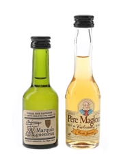 Marquis D'Aguesseau & Pere Magloire Calvados Bottled 1980s 2 x 3cl / 40%