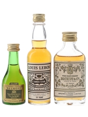 Delmont, Louis Lebon & Richot Brandy Bottled 1960s-1970s 3 x 3cl-5cl