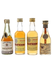 Rayniero, Torres & Sandeman Brandy Bottled 1970s-1980s 4 x 4.6cl-5cl