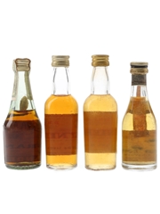 Rayniero, Torres & Sandeman Brandy Bottled 1970s-1980s 4 x 4.6cl-5cl