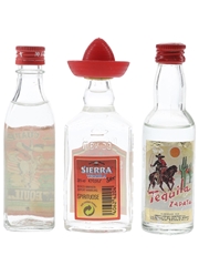 Campeny, Morey & Sierra Tequila  3 x 4cl-5cl