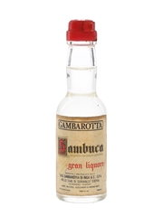 Gambarotta Sambuca  2.5cl / 42%