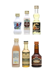 Brandy & Rum Liqueurs Assorted Miniatures 4cl, 3 x 3cl & 2 x 5cl