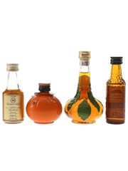 Assorted Liqueurs Cuarenta Y Tres, Mandarine Napoleon, Mandingo & Naranja 4 x 3cl-5.5cl
