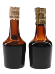 Trotosky Apricot & Peach Brandy Bottled 1950s-1960s 2 x 5cl / 24%