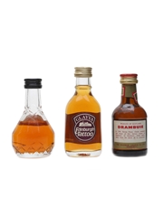 Whisky Liqueur Miniatures Drambuie, Glayva & Irish Mist 3 x 5cl