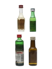 Herbal Spirits & Liqueurs Assorted Miniatures 5cl, 4cl, 3cl, & 2cl