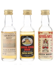 Assorted Blended Scotch Whisky Aberdeen Mist, Eilean Donan Dram & The Royal Wee 3 x 5cl / 40%