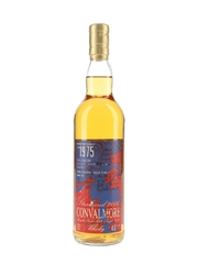 Convalmore 1975 Hogshead Cask No. 2572