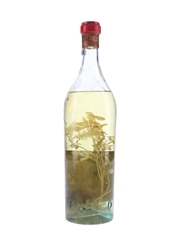 Miotto Grappa Alla Ruta Bottled 1960s 100cl / 45%