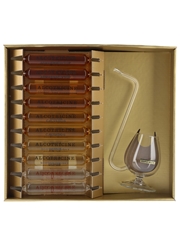 Alcotricine The Five Cures Against Depression Ampoules Tasting Set With Port Pipe Glass - Spanish Edition 10 x 2cl / 40%