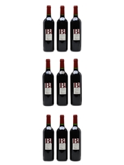 BI Grand Vin De Bordeaux 2011 Medoc 9 x 75cl / 13%
