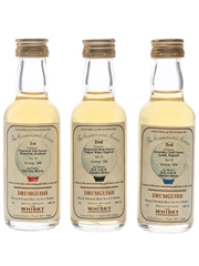 Drumguish The Connoisseur's Course 1st, 2nd & 3rd Bottled 2001 - The Whisky Connoisseur 3 x 5cl / 40%