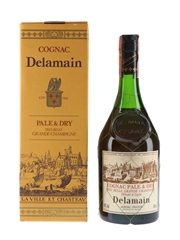 Delamain Pale & Dry