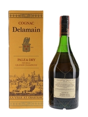 Delamain Pale & Dry Bottled 1970s-1980s - Sagna 70cl / 40%