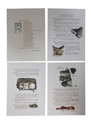 The Remarkable History Of The Macallan Prints Sara Midda 1975 29.5cm x 41cm