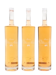 Maison Williams Chase Rose 2015