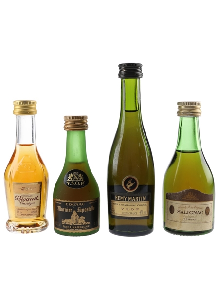 Assorted Cognac Bisquit, Marnier Lapostolle, Remy Martin, Salignac 4 x 5cl / 40%