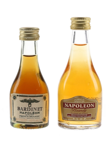 Bardinet Napoleon & Napoleon Brandy VSOP  2 x 3cl-5cl