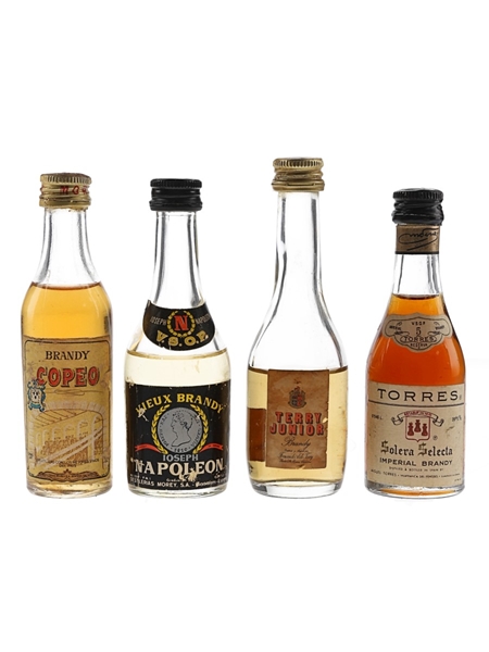 Copeo, Terry Junior, Torres & Napoleon VSOP  4 x 4.5-5.2cl