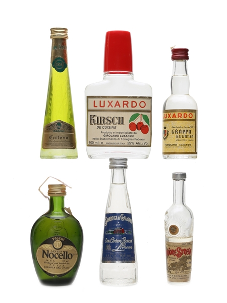 Italian Bitters & Liqueurs Miniatures Campari, Fernet Branca, Disaronno, Galliano 6 x 2 - 10cl