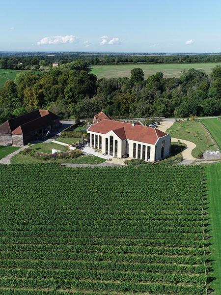 A Private Tour & Tasting at Exton Park Vineyard in Hampshire For 6 People 