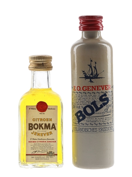 Bols & Citroen Bokma Genever  2 x 4cl