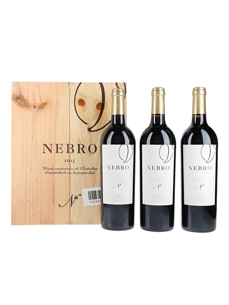 2013 Nebro Finca Villacreces 3 x 75cl / 14.5%