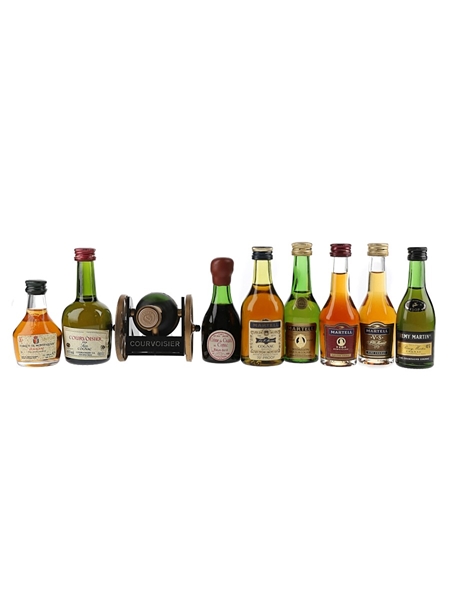 Assorted Cognac  9 x 3cl-5cl