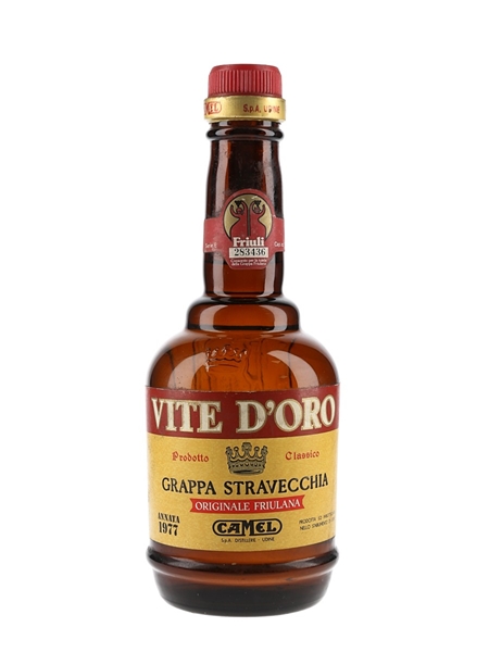 Camel Vite D'Oro Grappa Stravecchia 1977  75cl / 40%