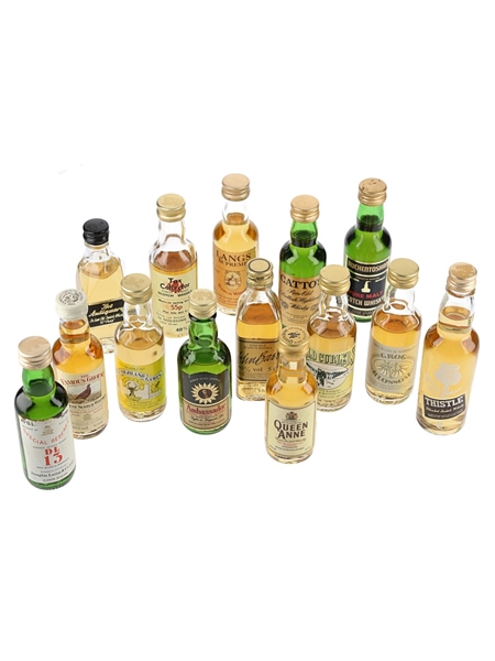 Assorted Blended Scotch Whisky  14 x 5cl