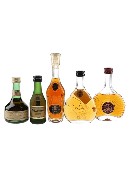 Assorted Cognac & Armagnac  5 x 3cl-5cl / 40%