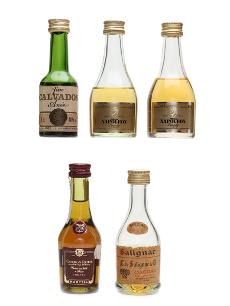 Cognac, Calvados & Brandy Salignac, Martell, Anee 5 x 3cl - 5cl