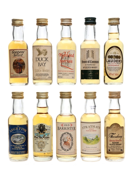 Assorted Blended Scotch Whisky Strathayr, Lauder's, Duck Bay, House of Commons 10 x 5cl