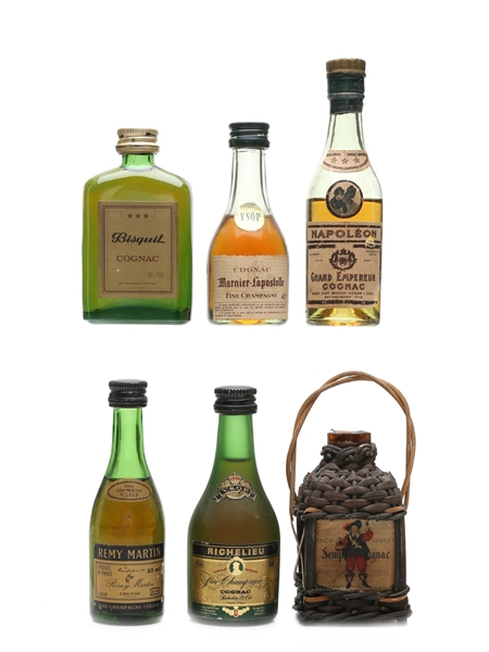 Assorted Cognac & Armagnac Bisquit, Napoleon, Marnier Lapostolle,  Remy Martin, Richelieu 6 x 3cl-5cl