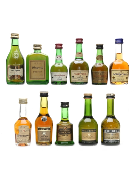 Assorted Cognac & Armagnac Bisquit, Courvoisier, Hennessy, Martell, Prince Hubert 11 x 3cl - 5cl / 40%