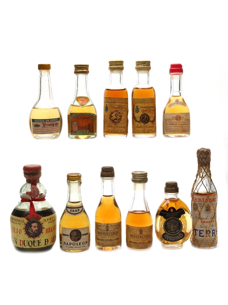 Assorted Brandy & Calvados  11 x 2cl-9cl