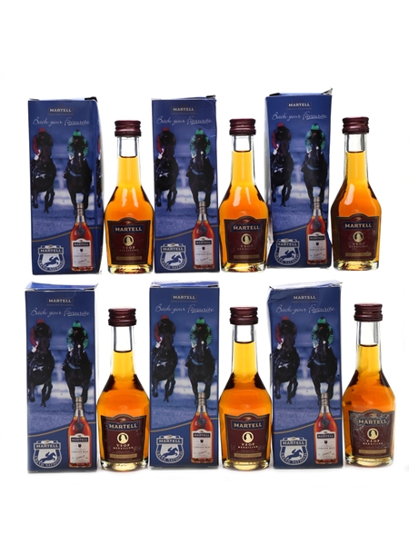 Martell Medaillon VSOP Grand National 6 x 3cl / 40%