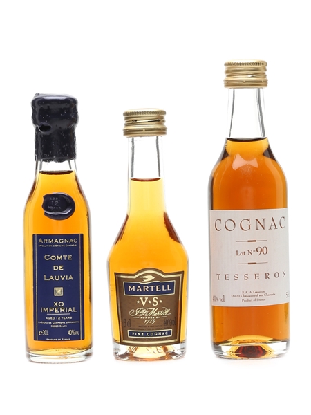 Assorted Cognac & Armagnac Comte De Lauvia, Martell, Tesseron 2 x 3cl & 5cl / 40%